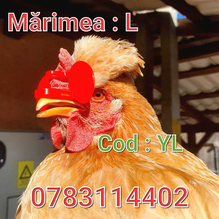 YL-Ochelari FARA AC-Pauni Fazani Cocosi Gaini Pasari- Anti Lupte-Batai