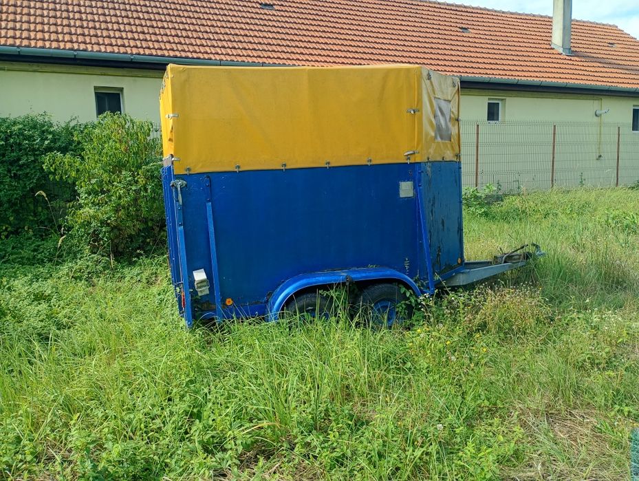 Remorca de cai/transport animale de vanzare