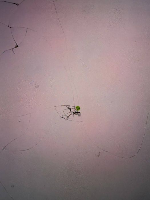 Samsung S21 Ultra рабочем состоянии.