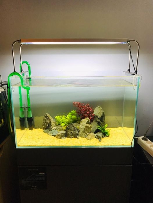 Чистка аквариума  обслуживание аквариума