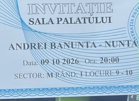 Bilet concert Banuta