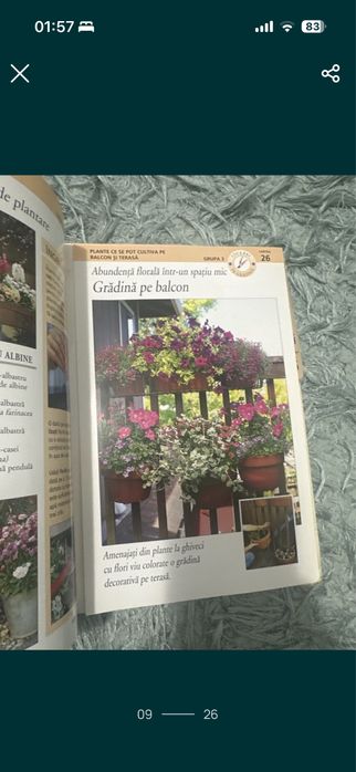 Gradinarit in orice anotimp