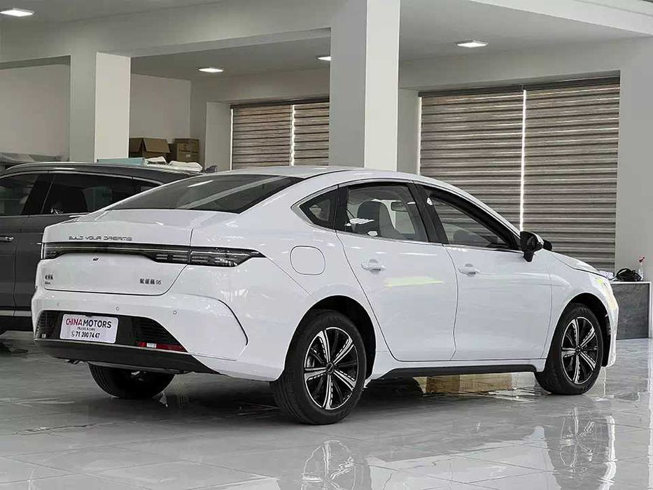 Бампер задний всборе  BYD DESTROYER 05  '22-