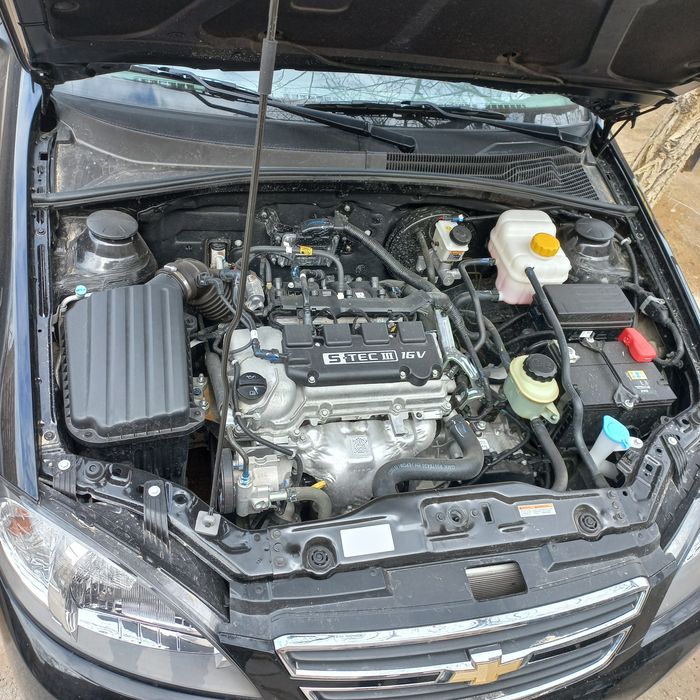 Жентра продоёться