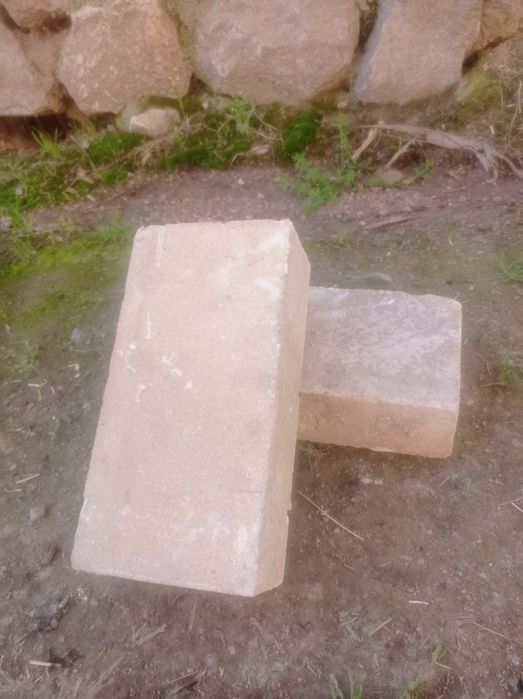 Agnyuporni gish 3ming donasi