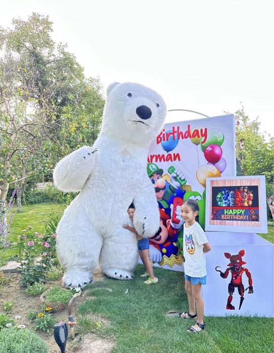 Мишка/ак аю/белый медьведь