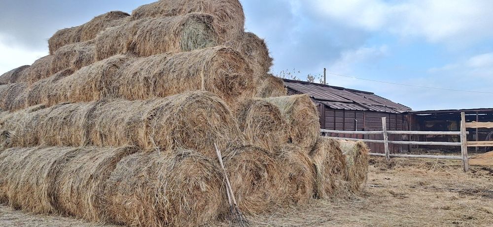 Продам сено,разнотравие  в рулонах