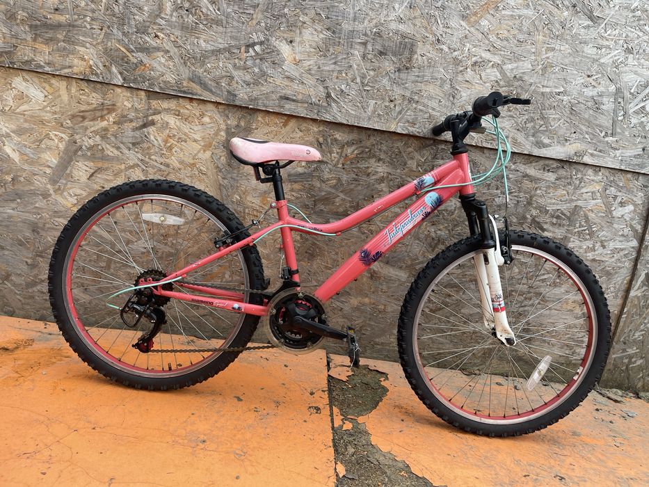 Bicicleta apollo independence roti 24”