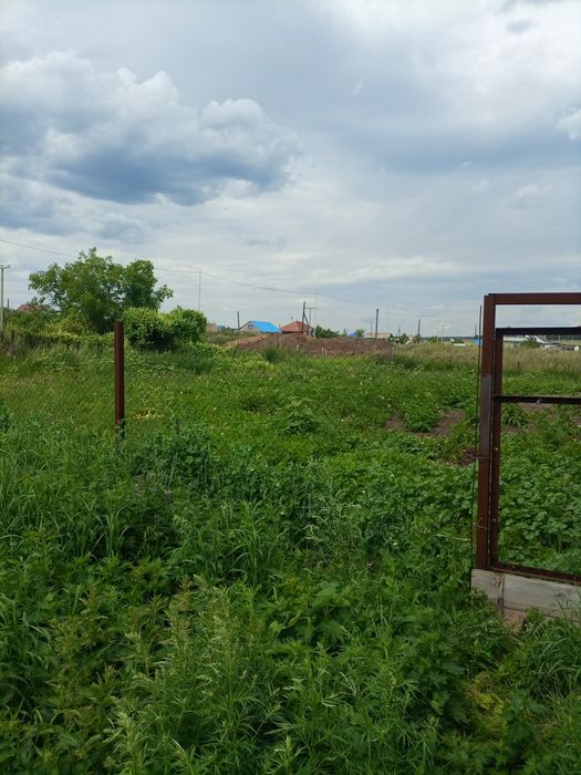 Продам дом и все, что в нем!