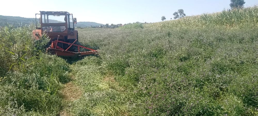 Baloți rotunzi 150