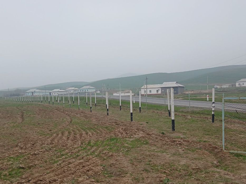 Шпалер , порсинка . бетон стойка