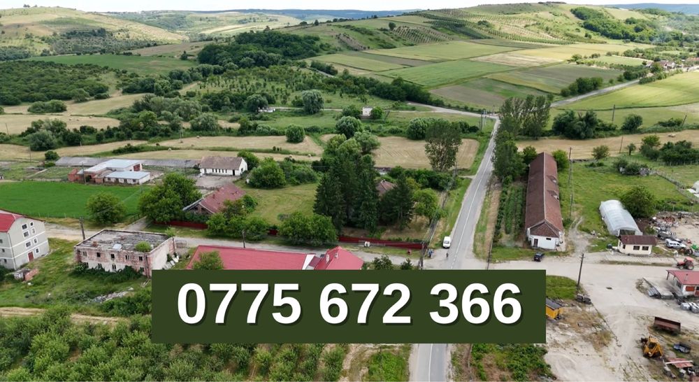 Teren de vanzare Cehal 64 Ha