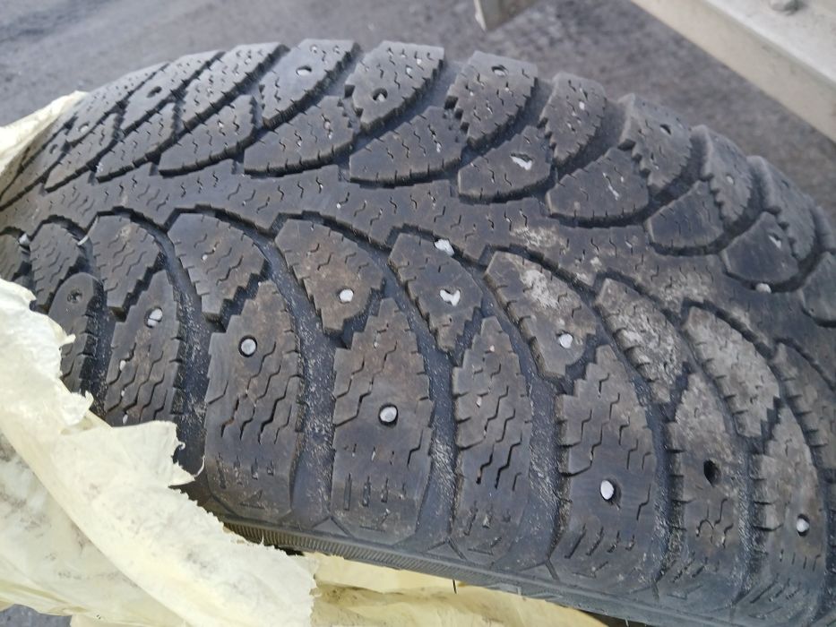 Резина на 16 .205×55 тунга