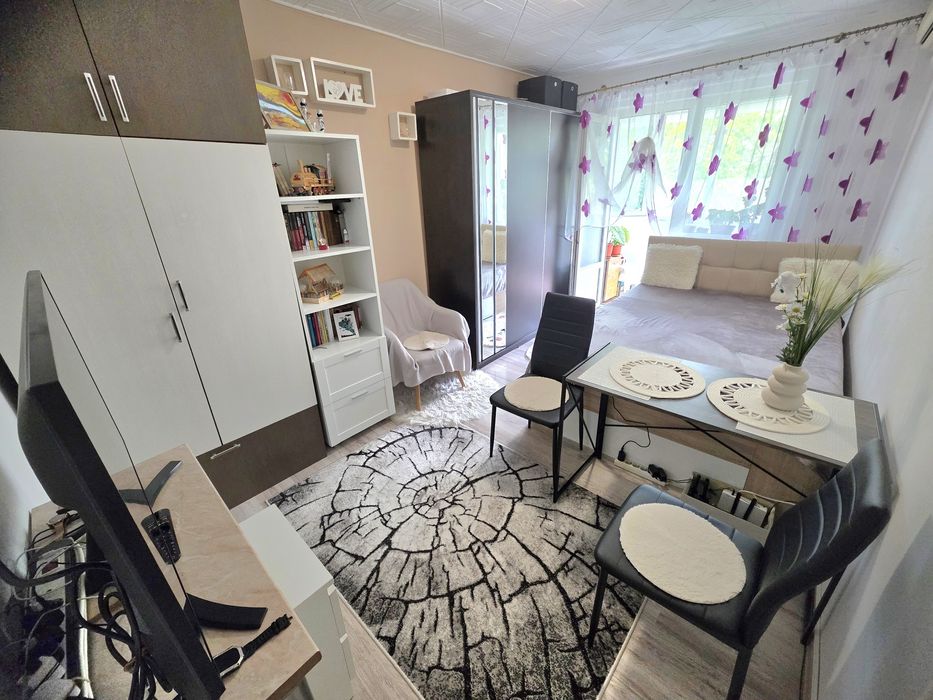 Apartament cochet cu o camera