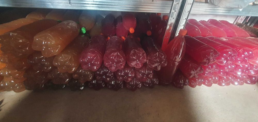 Suc de mere BIO 100%