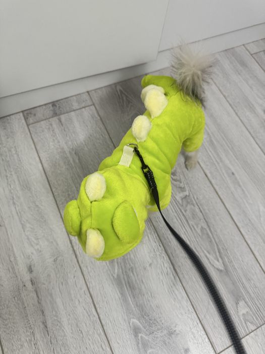 Шпиц мини щенокк