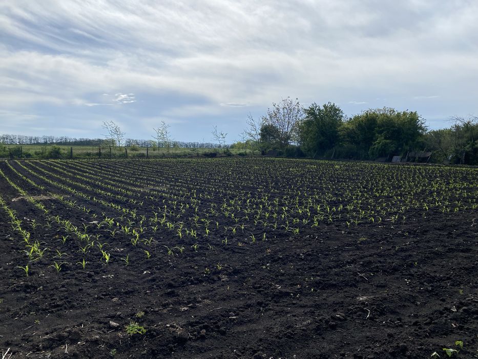 Продава се Парцел в с. Дъбовик, Област Добрич - 1 кв.м за 2091 €/кв.м - Снимка #7