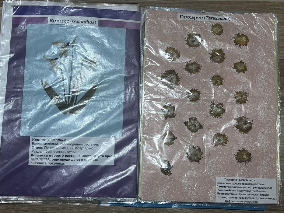 Хербарий 7 клас по Биология