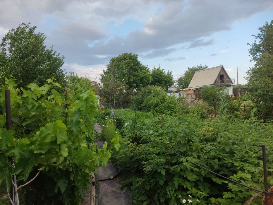 Продам дачу ПК Здравница