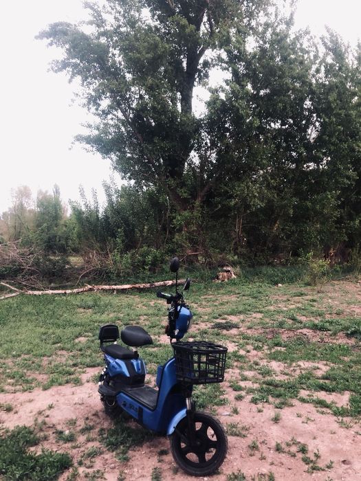 GOLD В хорошем состоянии