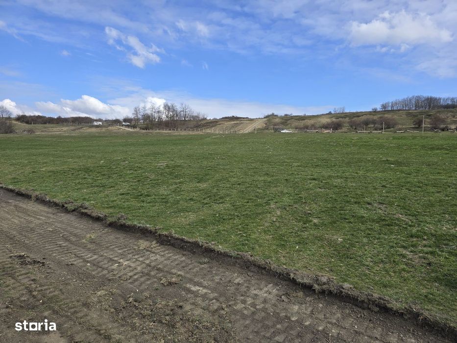 Teren Dealul Fanatelor