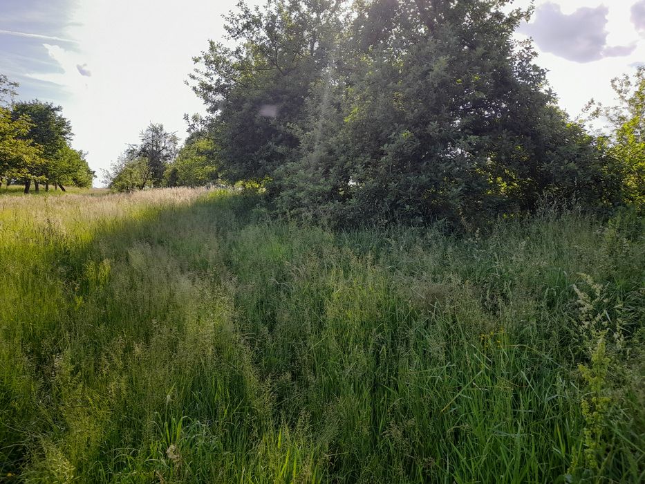 Vand teren intravilan cu constructie