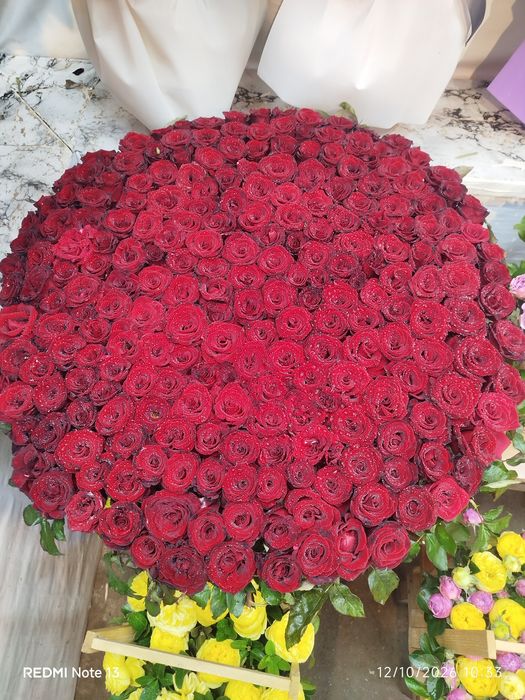 Gullar 300 talik