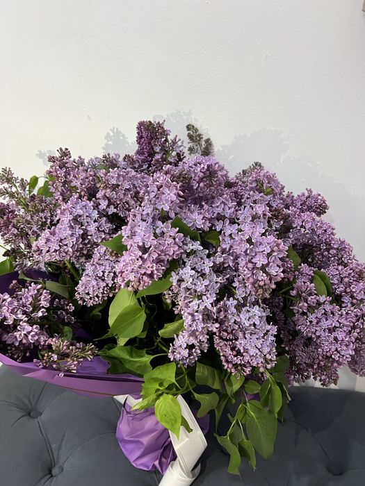 Цветы сирень продается