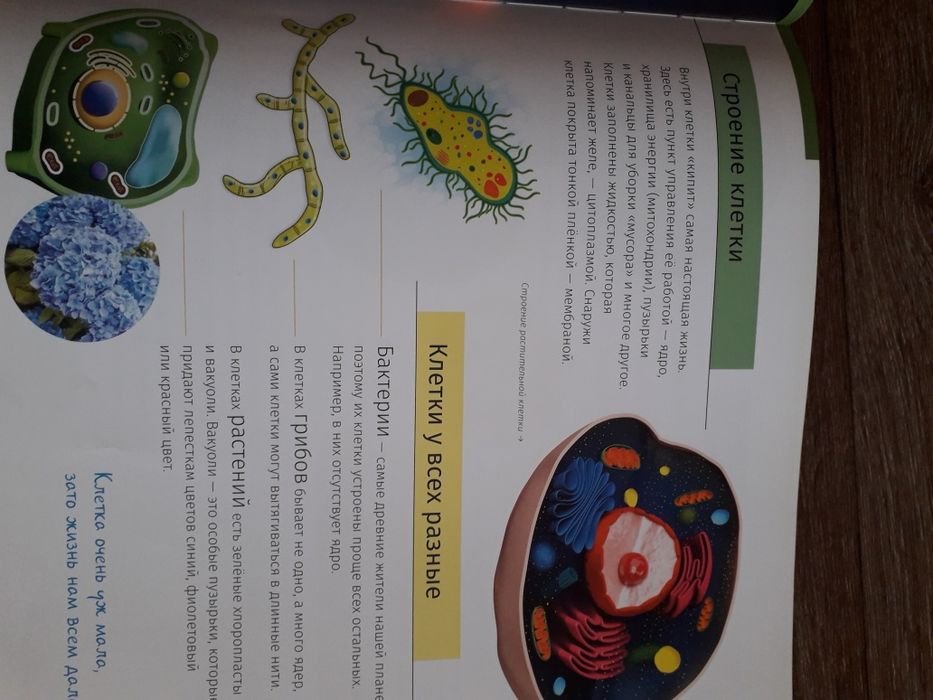 Продам книги для детей