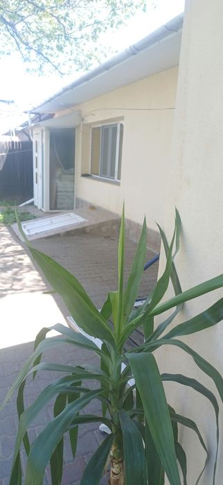 Casa vanzare zona centrala Calarasi