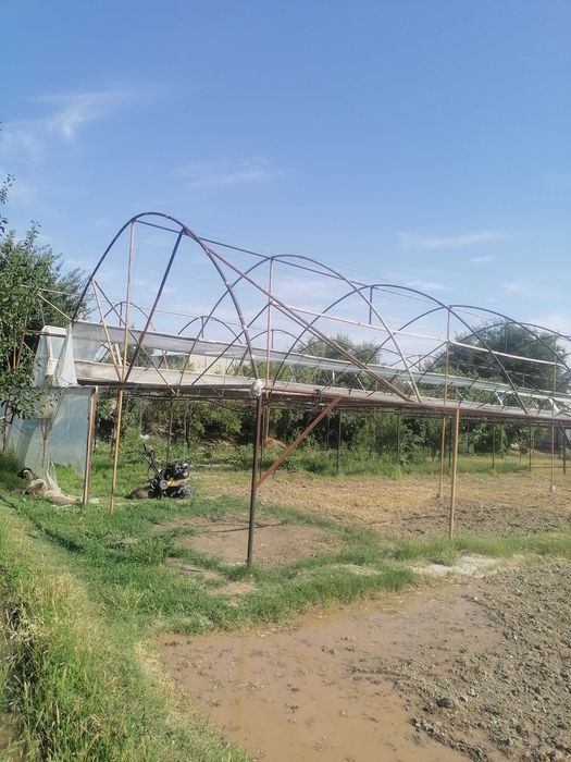 Теплиса issiqxona