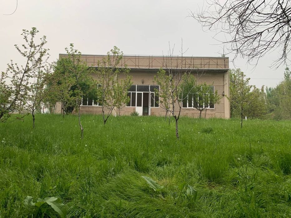 Kumushkonda joylashgan dalahovli sotiladi