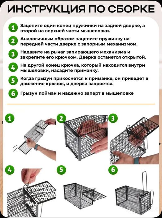 Мышеловка крысоловка гуманная
