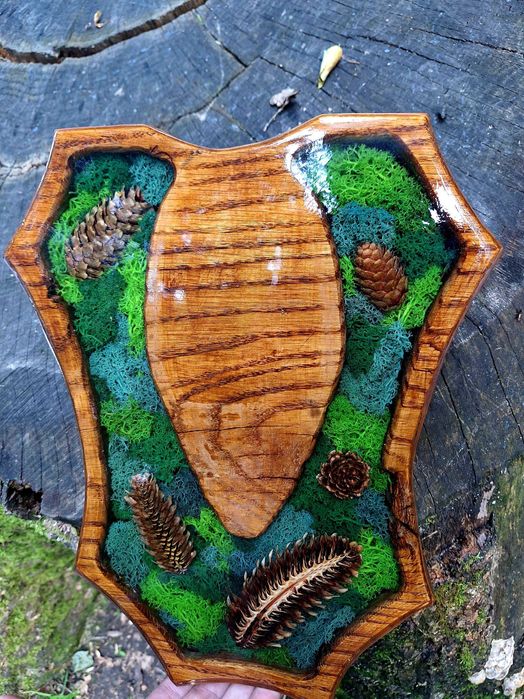 Panoplie rasina - trofeu cerb, coarne, capra neagra, mistret, caprior