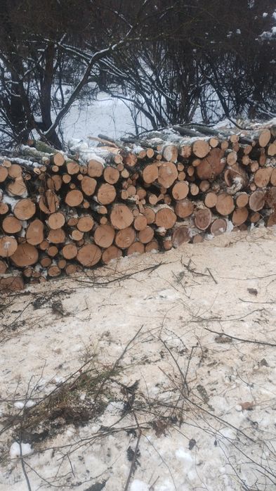 Vand lemne de foc carpen