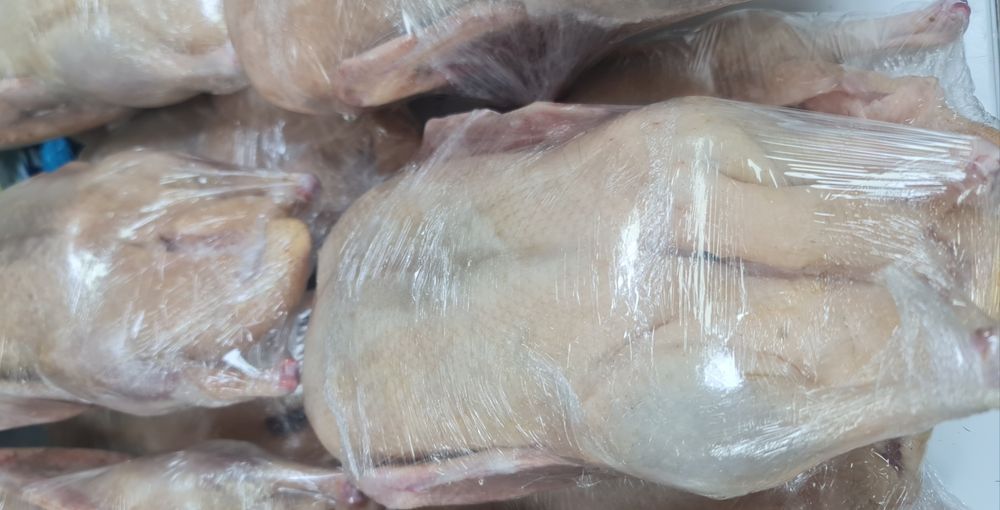 Продам уток домашних мясом.