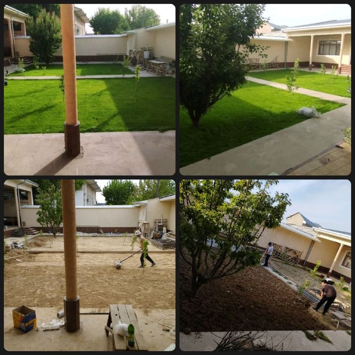 Газон посадка газон экамиз