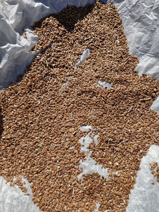 Продется лен от кх с места