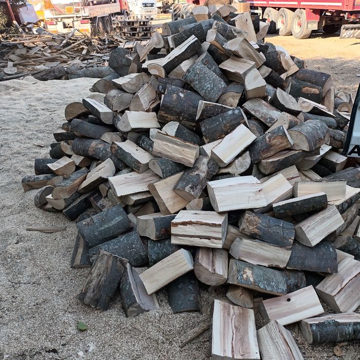 Lemne de foc fag capete uscate sau verzi 600.lei tona