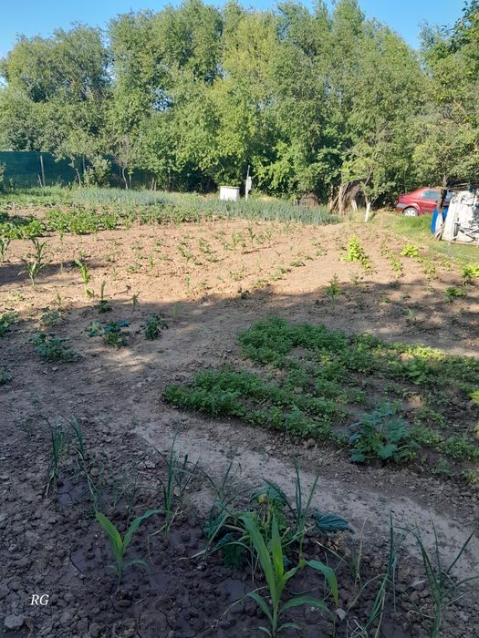 Casa de vanzare sat Vlascuta, comuna Mastacani, jud. Galați