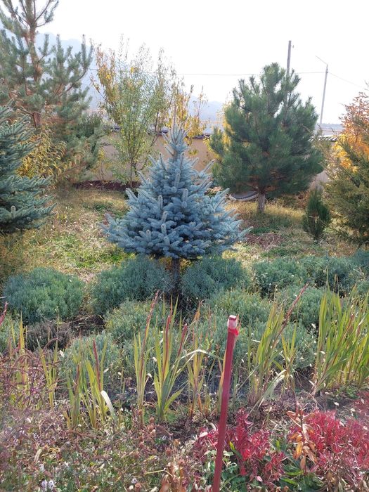 Продаю Дом в Бургулюке