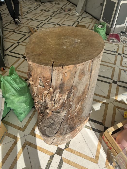 Тонка, пень, дерево бревно