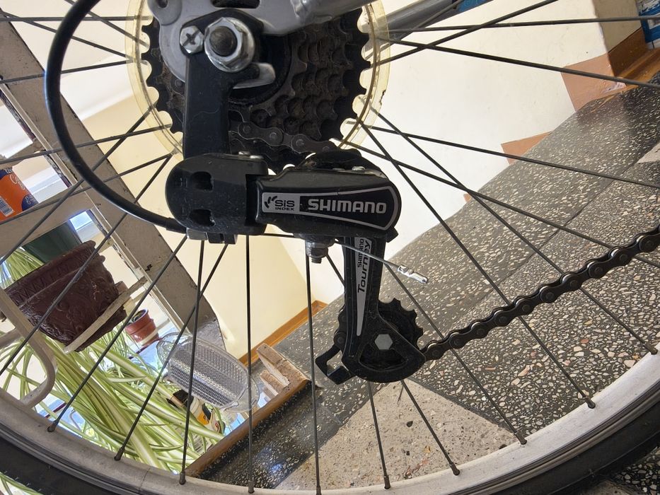 Bicicleta dama de oras (28 inchi)