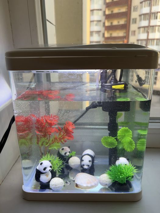 Аквариум для маленьких рыб