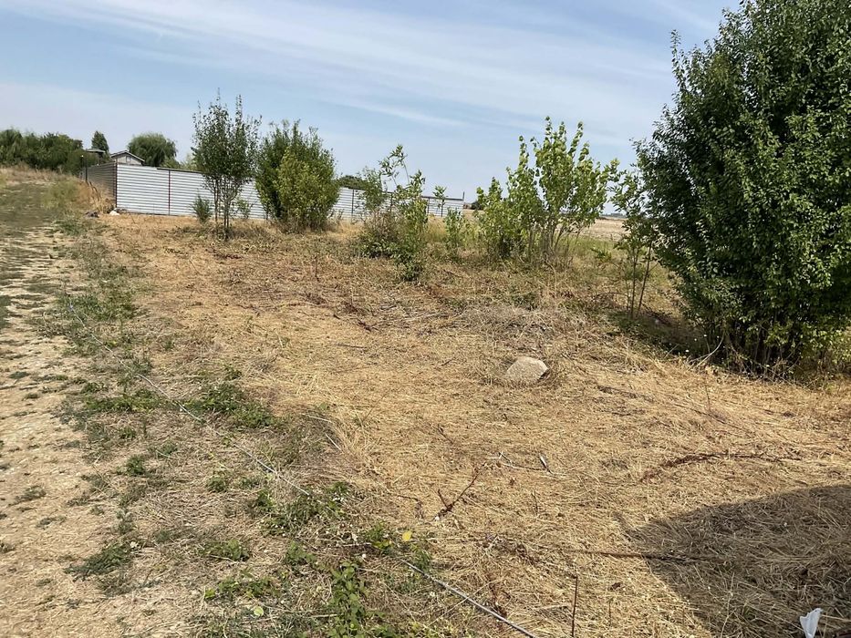 Teren 500 MP – Clinceni, langa ferma de struti