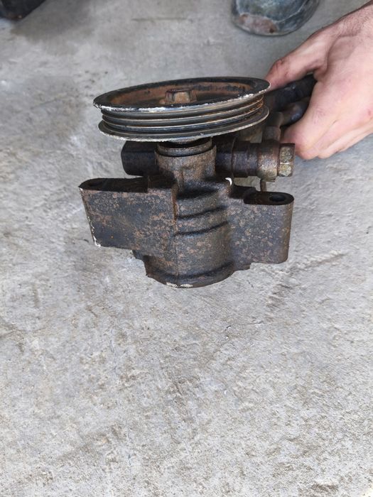 Продам Гур тоета Ипсум