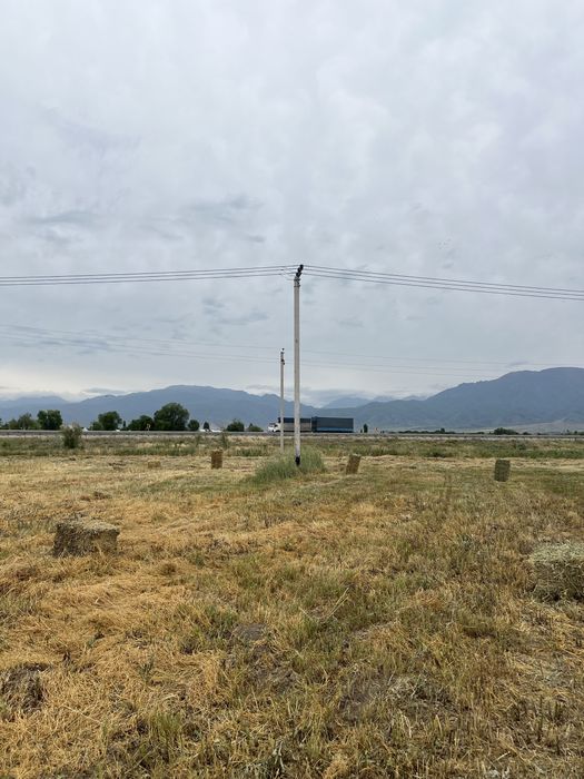 Жай Шөп сатылады