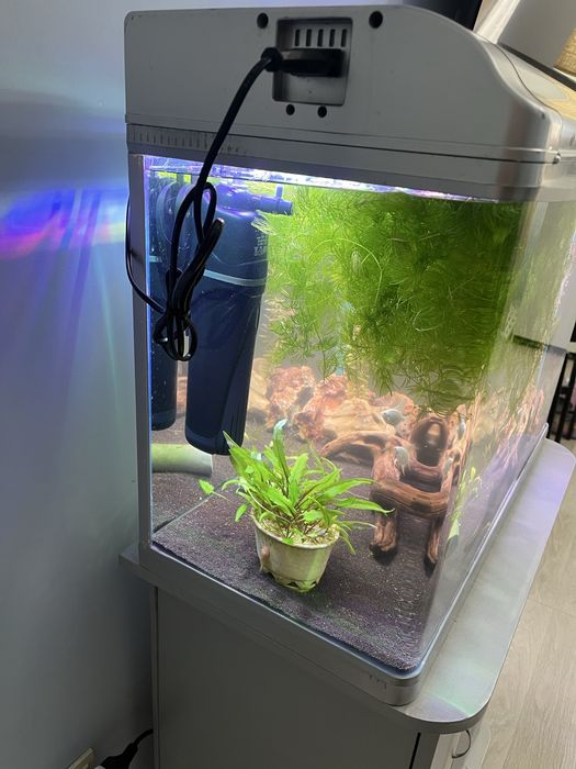 Аквариум 80 литров