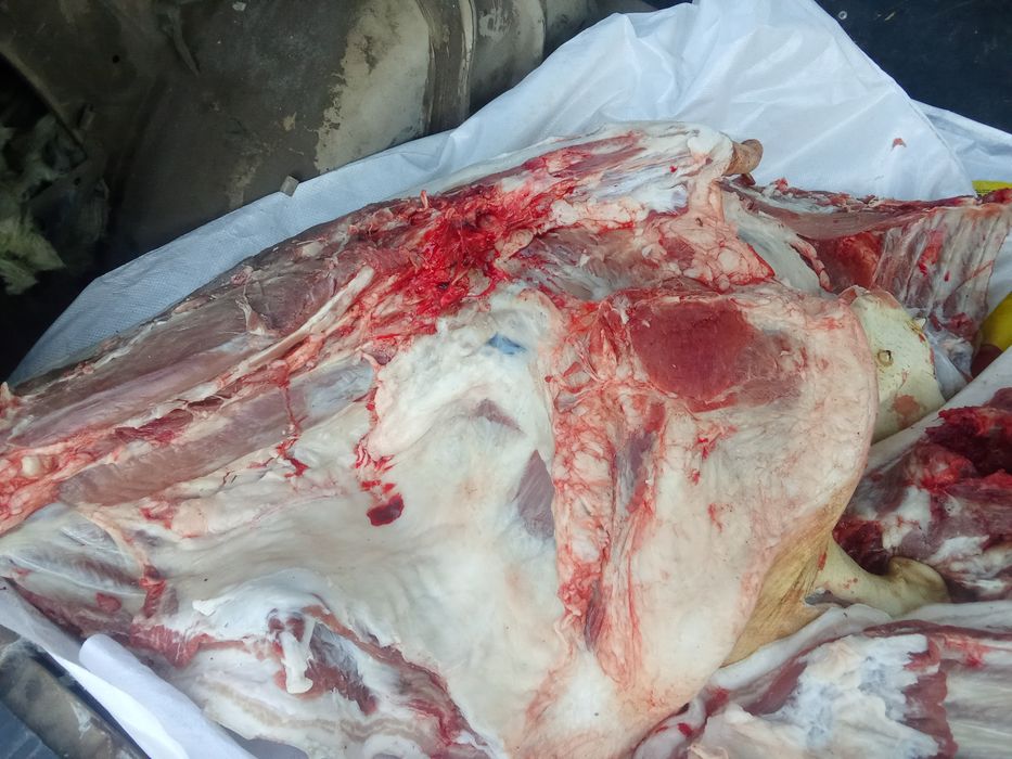 Мясо свинины свежие.