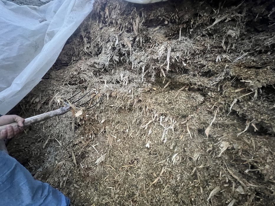 Силос сотилади. Арзон булади